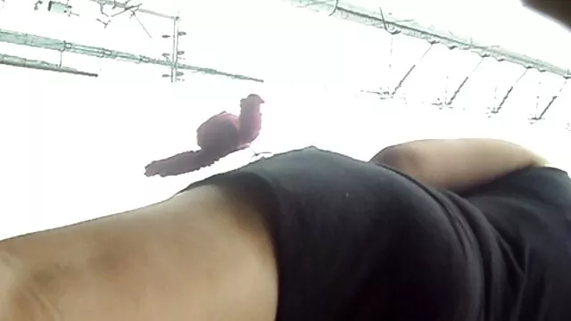 Wasp to phim sex nhật bản mới ra Samara Lauys ngón tay sừng